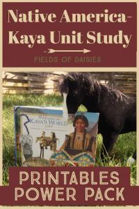 american girl kaya unit study
