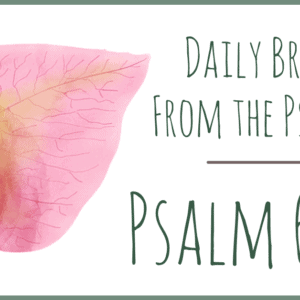 Psalms 6 & 7 Daily Bread