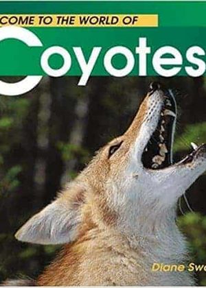 Welcome to the World of Coyotes