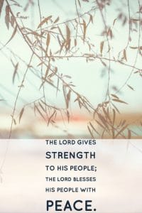 praying Psalm 29