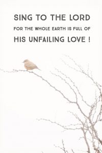Praying Psalm 33