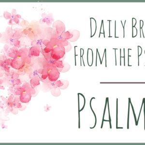 Psalm 13 devotional