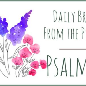 Psalm 17 devotional