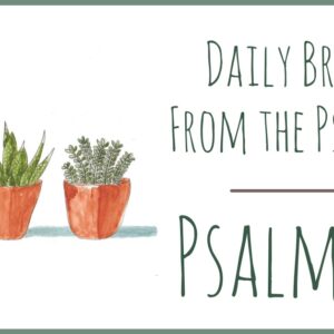 Psalm 20 devotional