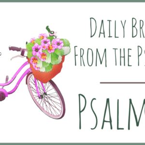 Psalm 19 devotional