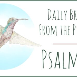 Psalm 27 devotional