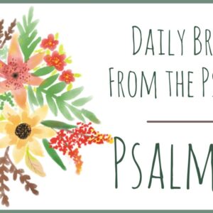 Psalm 30 devotional