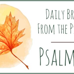 Psalm 31 devotional