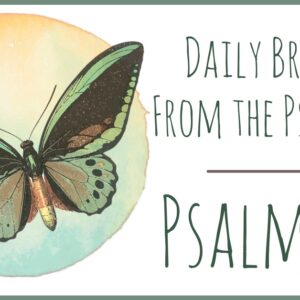 Psalm 29 devotional