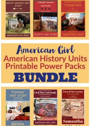 american girl unit studies fields of daisies