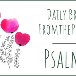 Psalm 8 Devotional