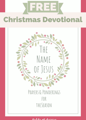 Christmas Devotional Free Name of Jesus