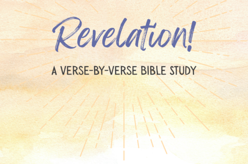 the revelation of Jesus Christ Bible study verse by verse cover image